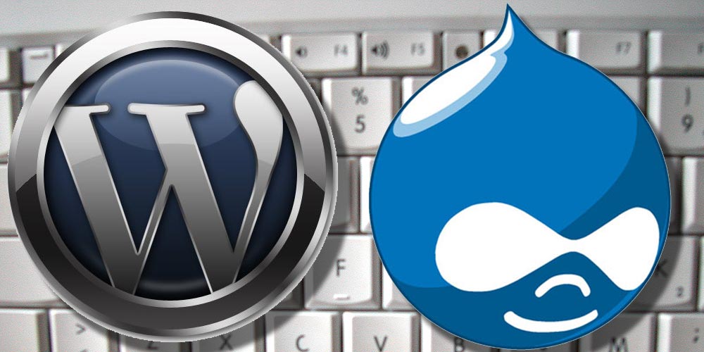 /drupal-wp.jpg