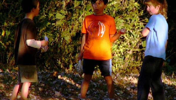 Différentes langues