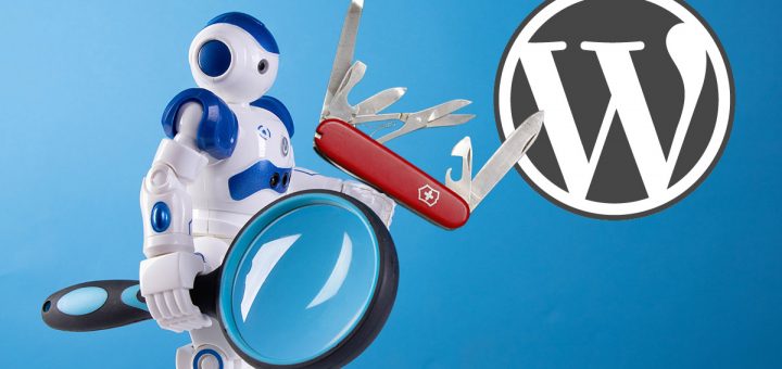 Meta Robots Wordpress