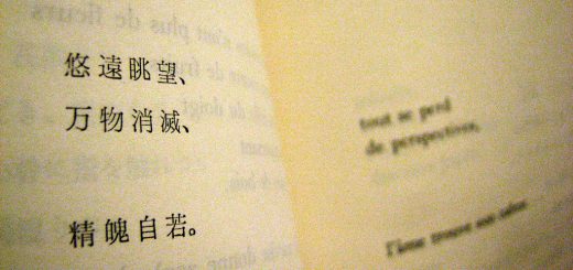 Translation, a dream ? Image sous licence CC NC ND by merlinprincesse