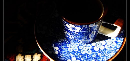 La tasse, photo par Seyed Mostafa Zamani