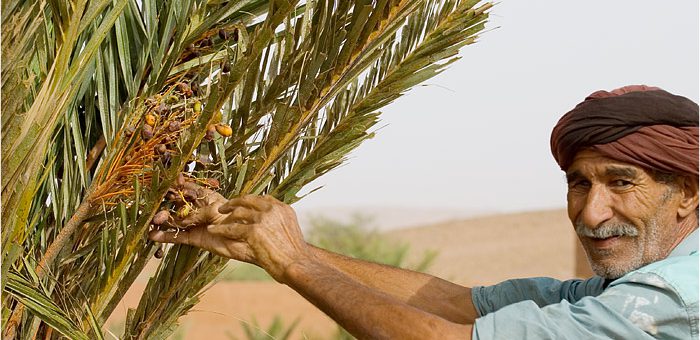 Les dates au bivouac