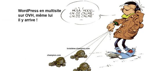 Gaston Lagaffe et son multisite