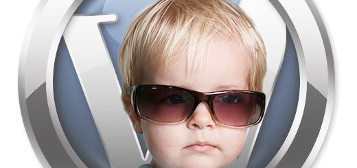 Mettez du style dans votre WordPress